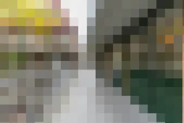 Stroveer 147 Rotterdam thumbnail 19