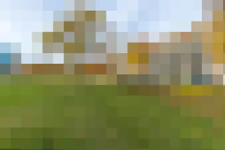 Stroveer 147 Rotterdam thumbnail 21