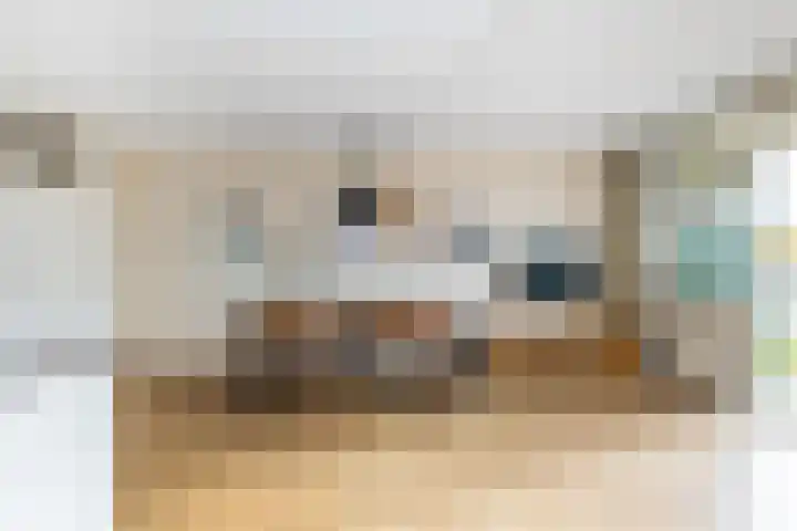 Stroveer 147 Rotterdam thumbnail 4