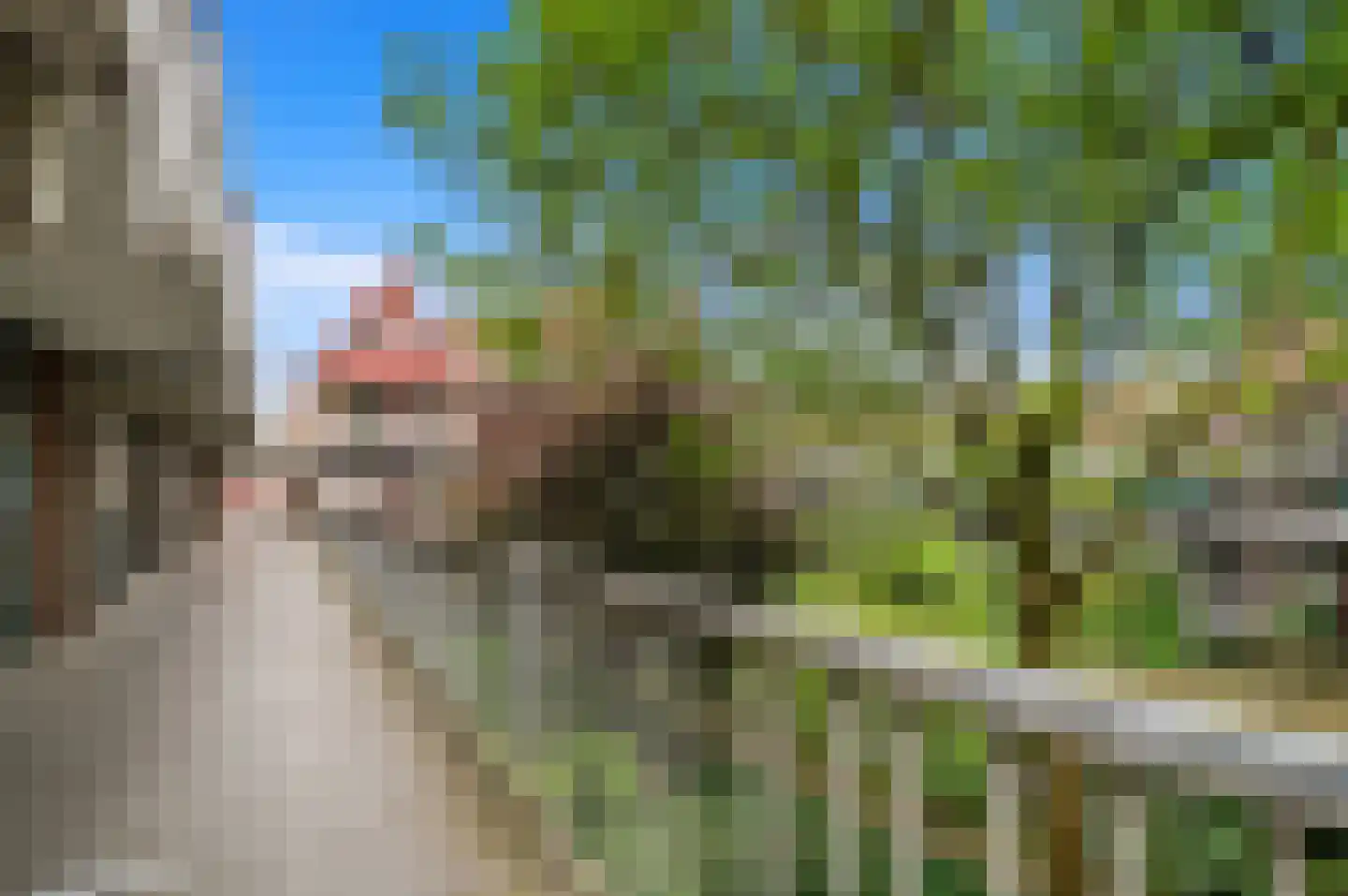 Stroveer 151 Rotterdam thumbnail 5