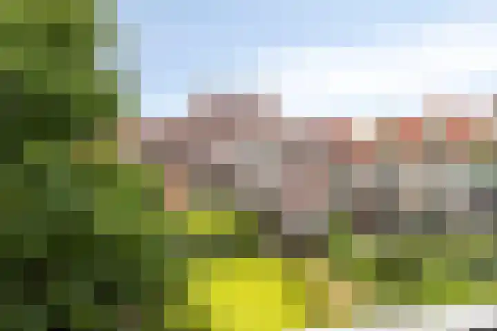 Stroveer 157 Rotterdam thumbnail 13
