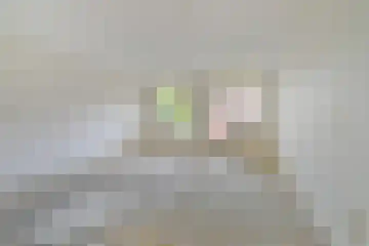 Stroveer 157 Rotterdam thumbnail 9