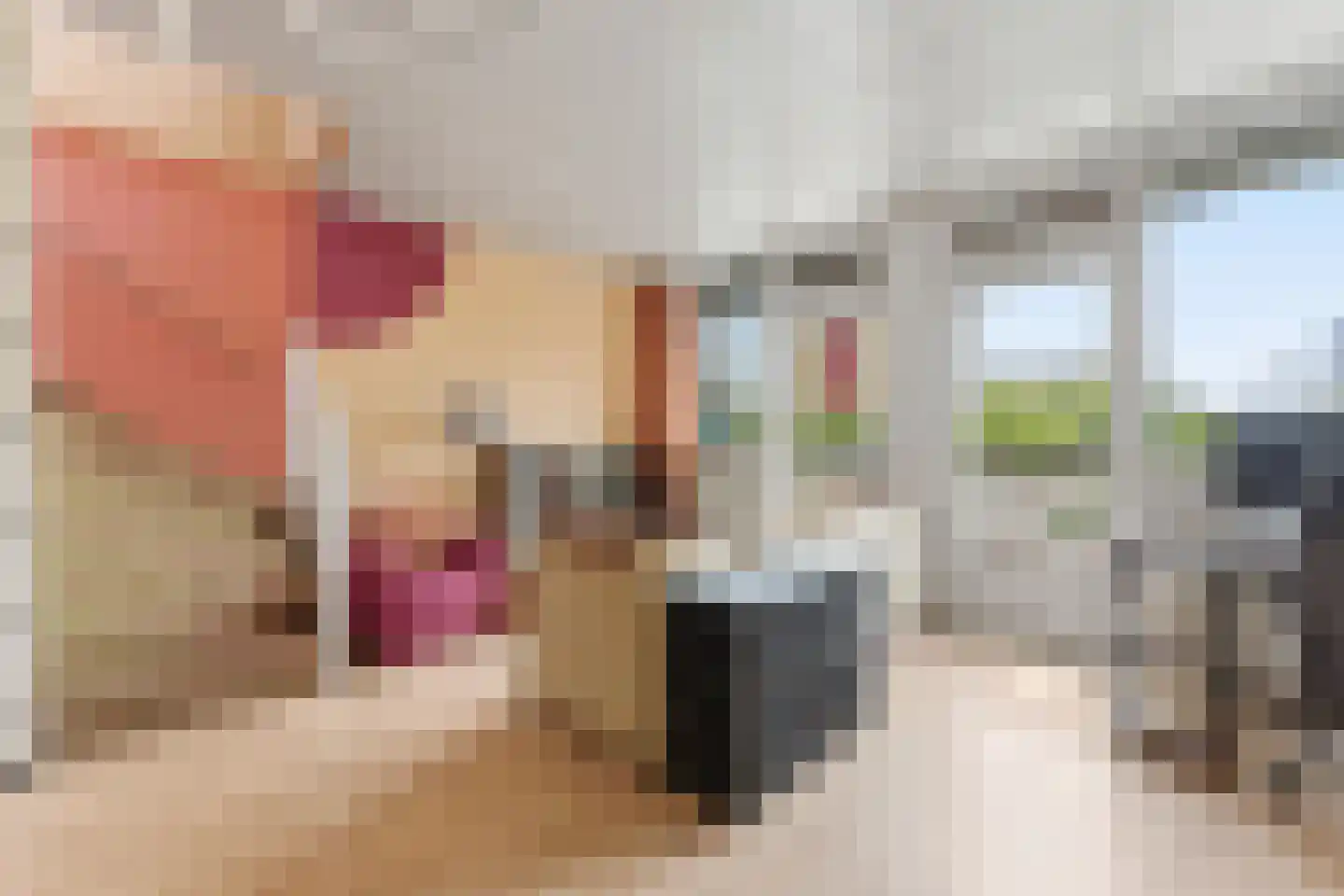 Stroveer 182 Rotterdam foto 2
