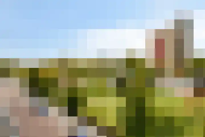 Stroveer 187 Rotterdam thumbnail 14