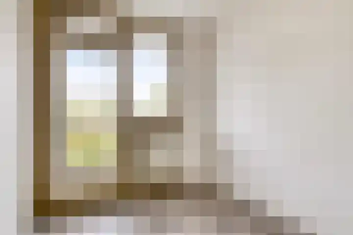 Stroveer 187 Rotterdam thumbnail 19