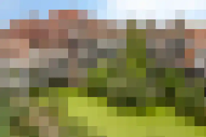 Stroveer 187 Rotterdam thumbnail 28