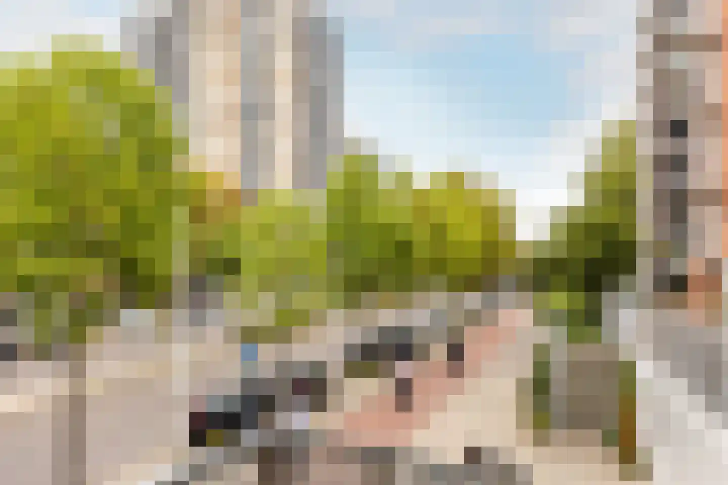 Stroveer 190 Rotterdam thumbnail 16