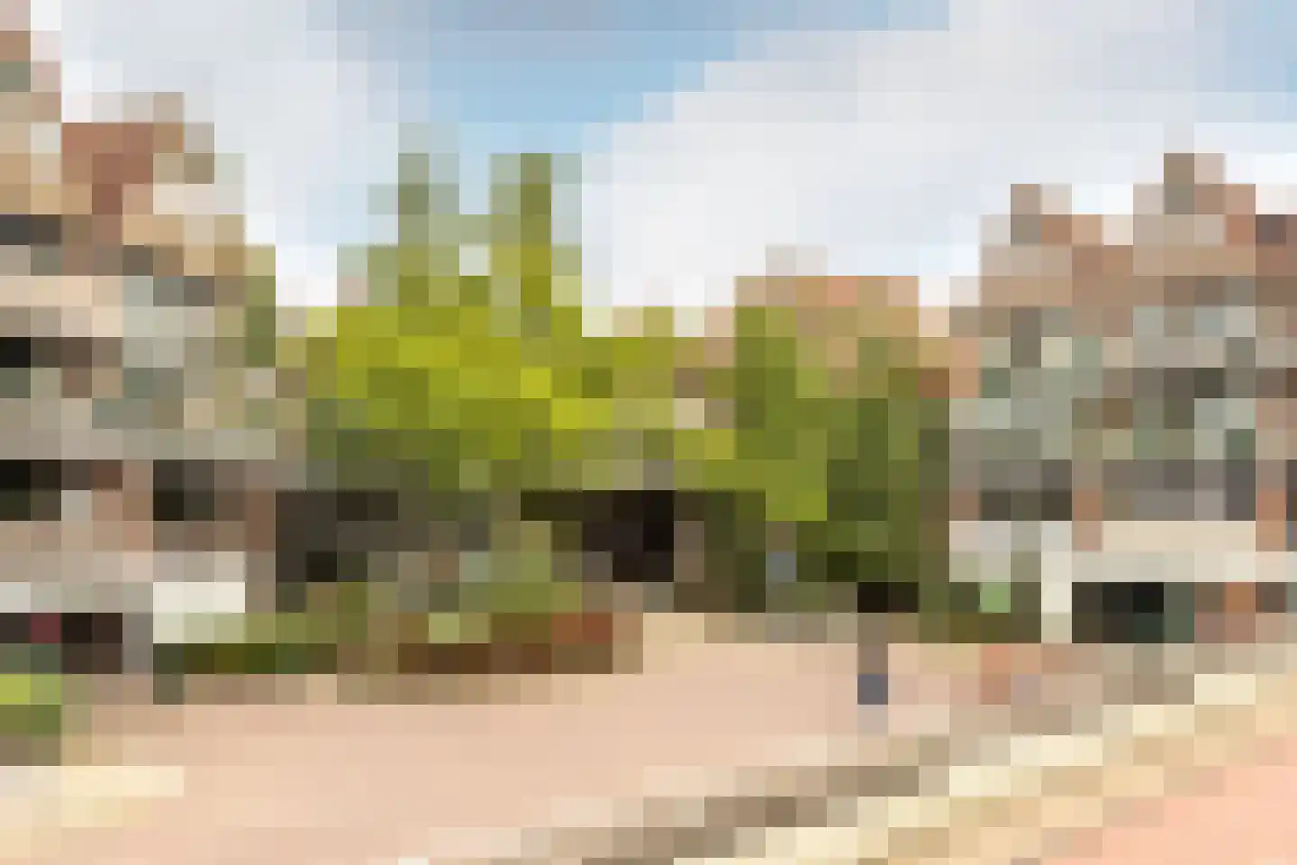 Stroveer 190 Rotterdam thumbnail 5