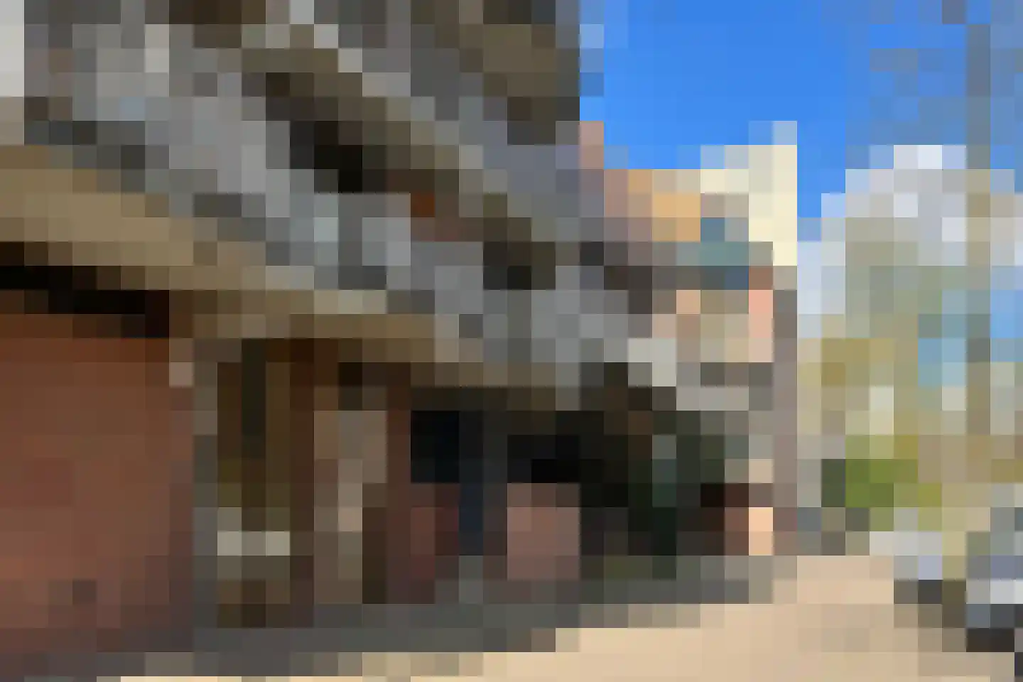 Stroveer 2 Rotterdam thumbnail 31