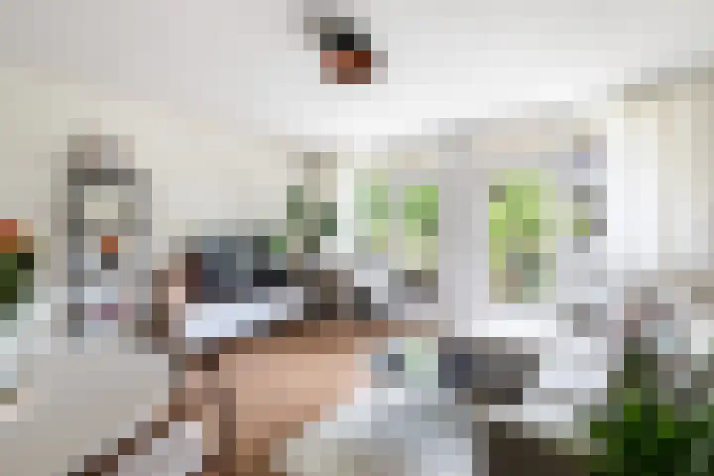 Stroveer 20 Rotterdam thumbnail 17