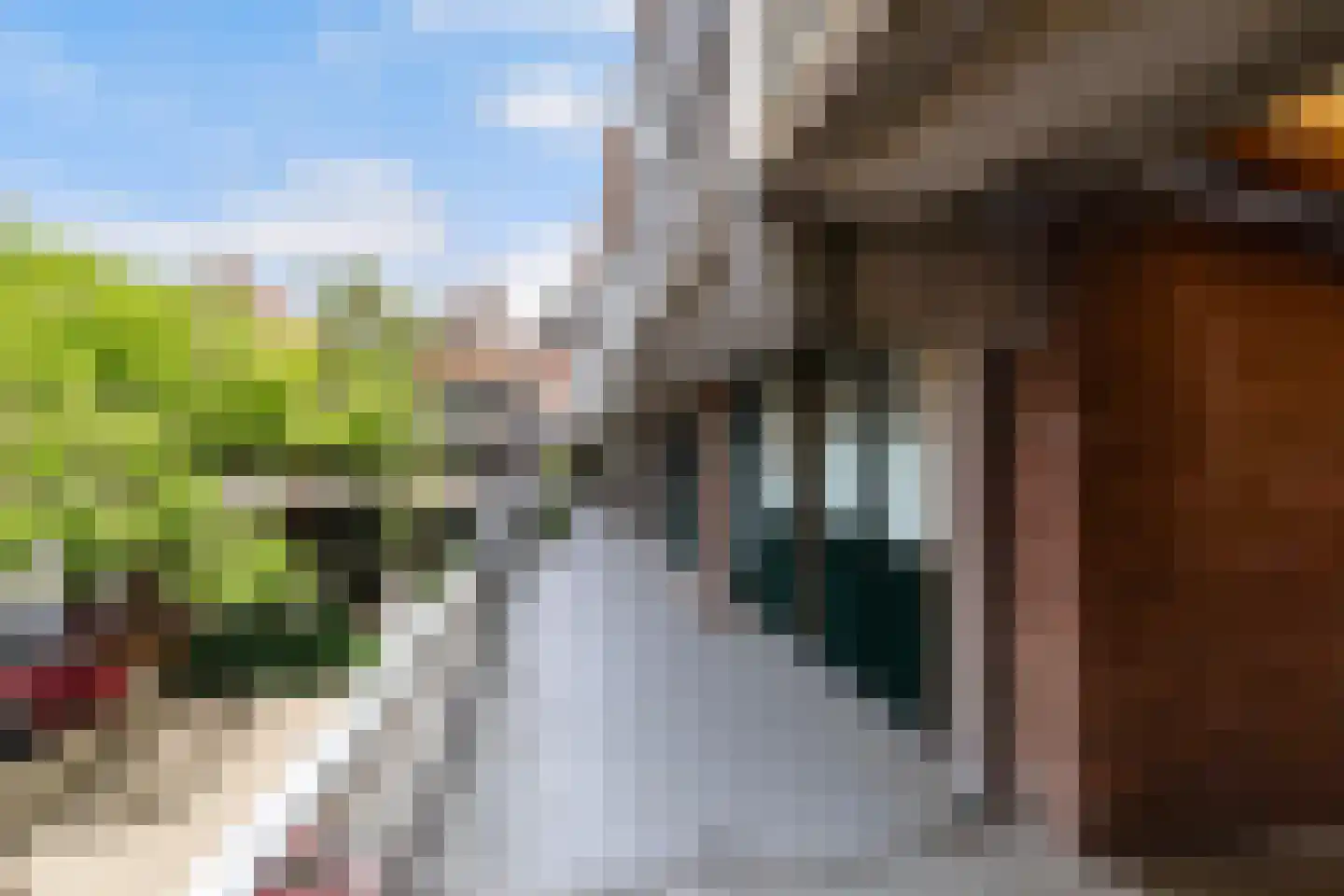 Stroveer 20 Rotterdam thumbnail 5