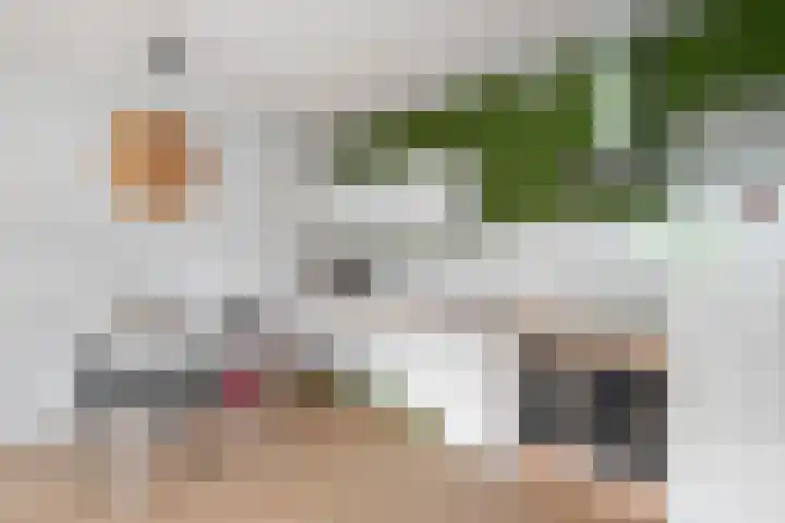 Stroveer 200 Rotterdam thumbnail 9