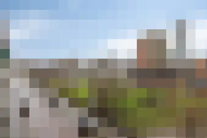 Stroveer 213 Rotterdam thumbnail 17