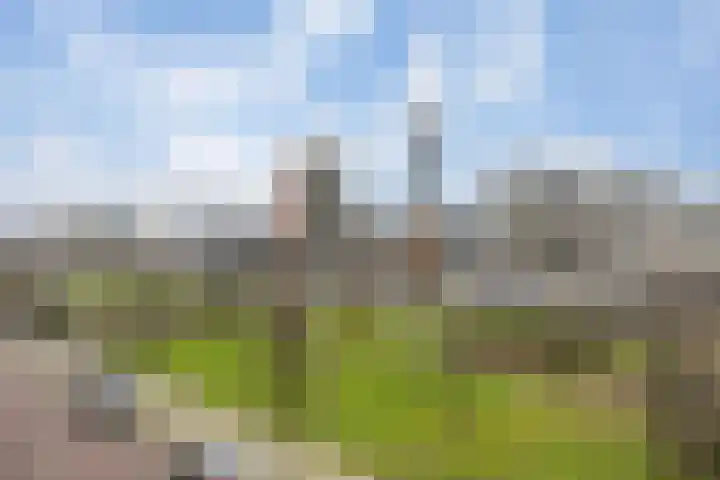 Stroveer 237 Rotterdam thumbnail 39