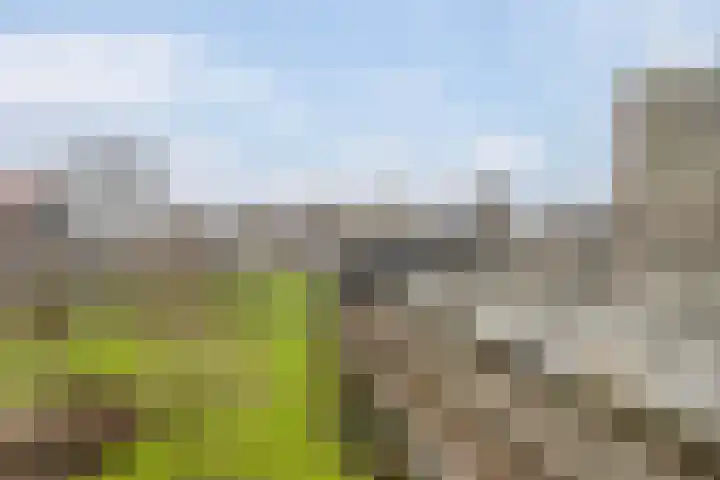 Stroveer 237 Rotterdam thumbnail 42