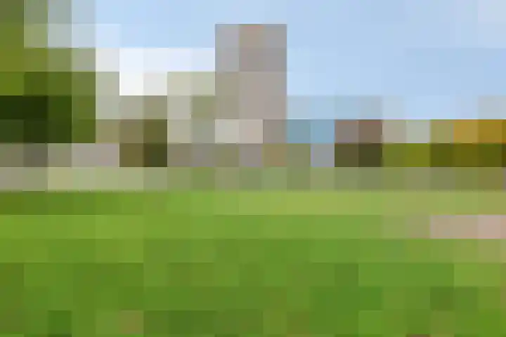 Stroveer 244 Rotterdam thumbnail 17