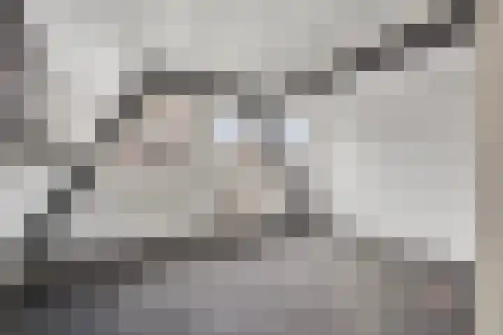 Stroveer 266 Rotterdam thumbnail 24