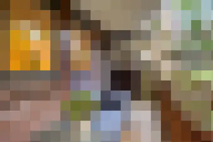 Stroveer 294 Rotterdam thumbnail 13