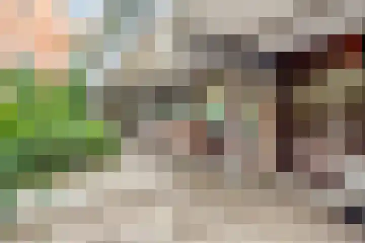 Stroveer 294 Rotterdam thumbnail 16