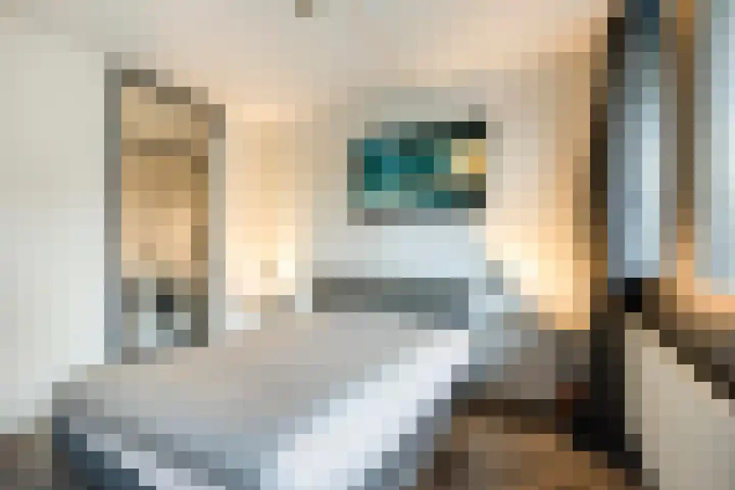 Stroveer 44 Rotterdam thumbnail 13