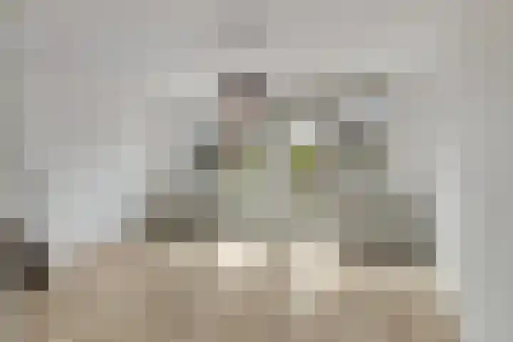 Stroveer 48 Rotterdam thumbnail 8