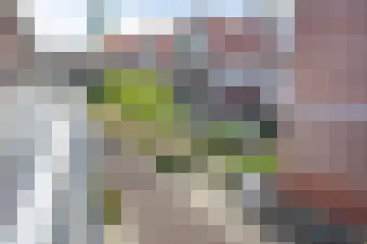 Stroveer 53 Rotterdam thumbnail 17