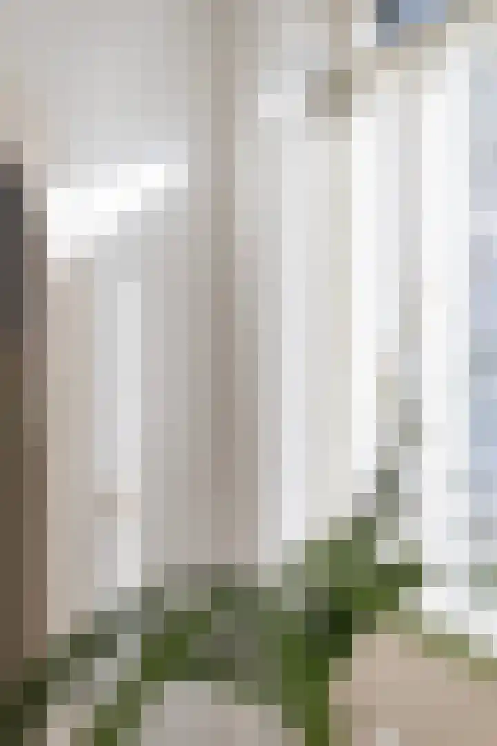 Stroveer 63 Rotterdam thumbnail 8