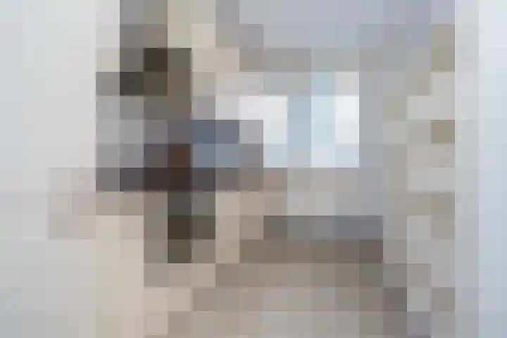 Stroveer 63 Rotterdam thumbnail 9