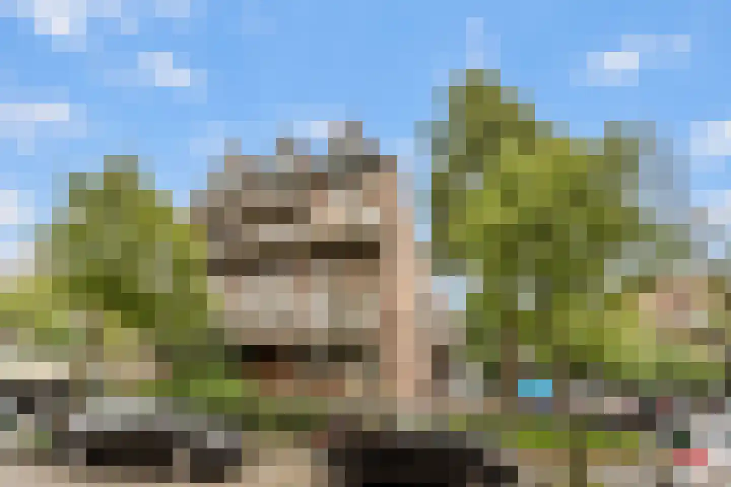 Stroveer 7 Rotterdam thumbnail 15