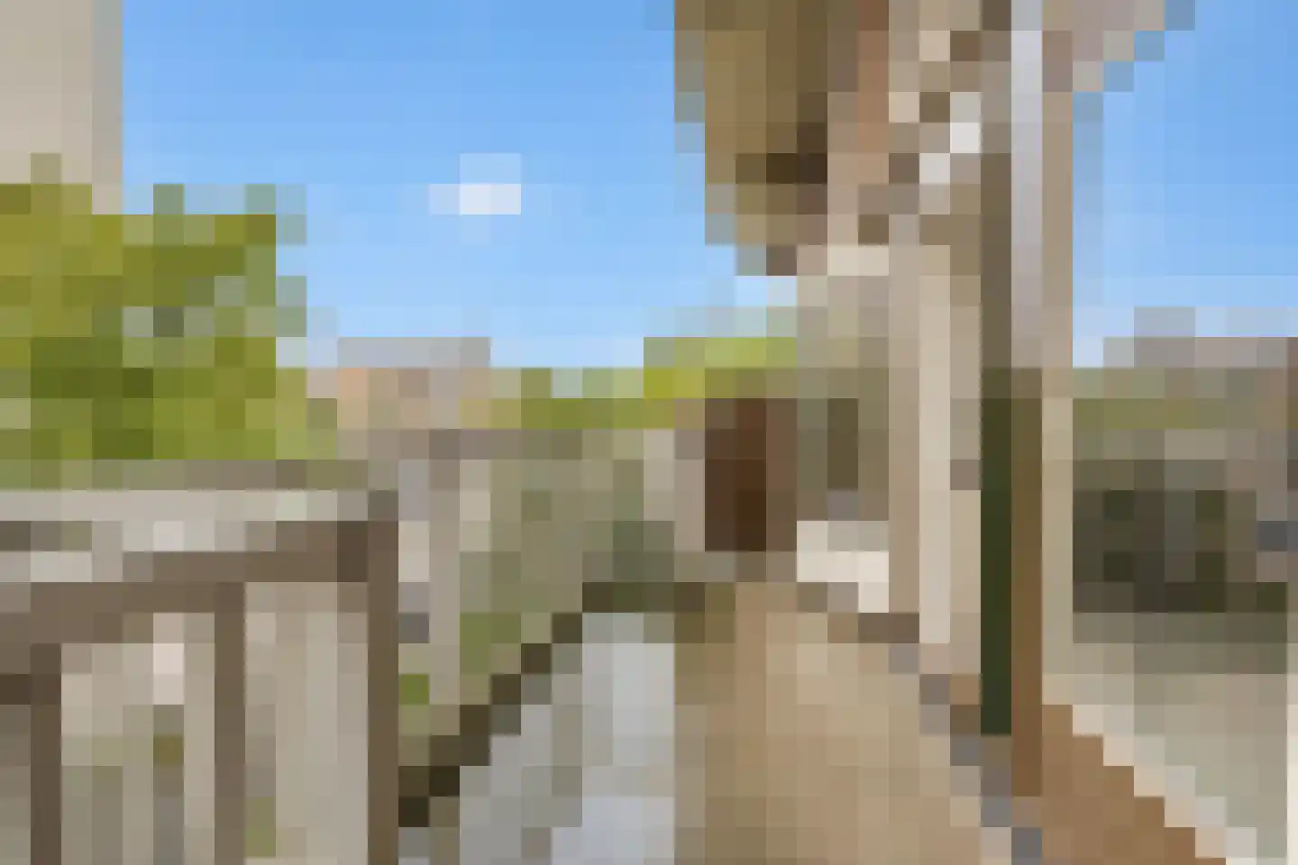 Stroveer 7 Rotterdam thumbnail 6
