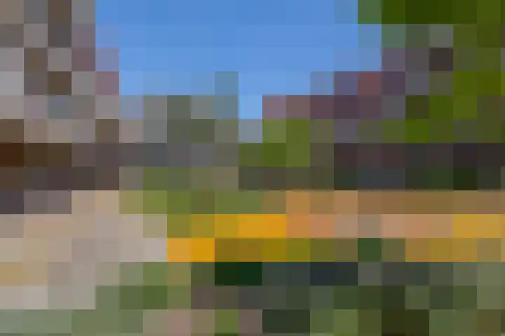 Stroveer 79 Rotterdam thumbnail 5