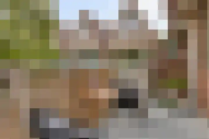 Stroveer 80 Rotterdam thumbnail 10