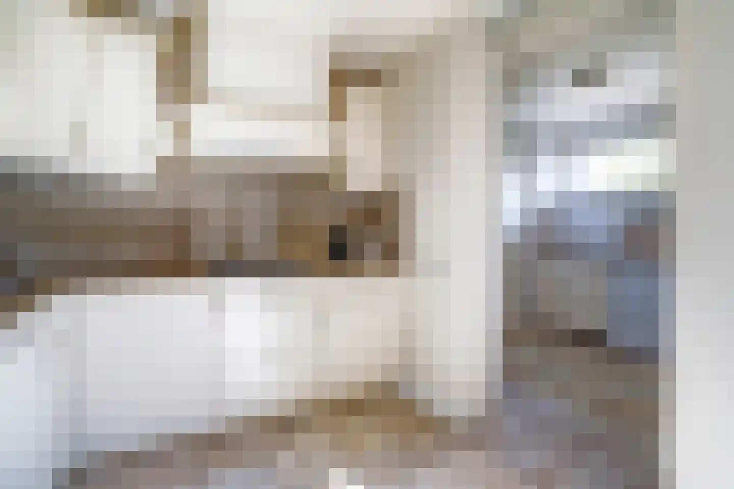 Strovelden 15 Best thumbnail 14