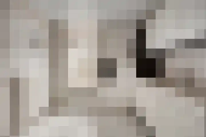 Strovlasstraat 18 Oss thumbnail 11