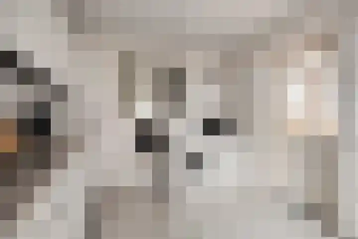 Strovlasstraat 18 Oss thumbnail 12