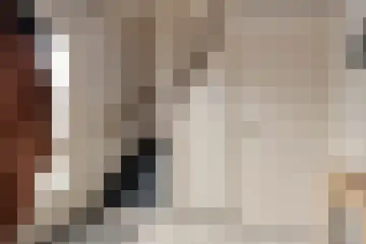Strovlasstraat 18 Oss thumbnail 15