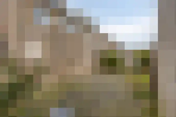 Strovlasstraat 18 Oss thumbnail 28