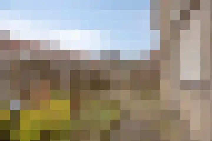 Strovlasstraat 18 Oss thumbnail 30
