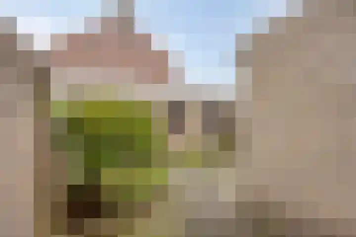 Strovlasstraat 18 Oss thumbnail 32