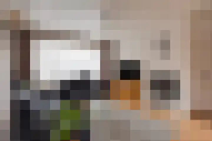 Strovlasstraat 18 Oss thumbnail 6