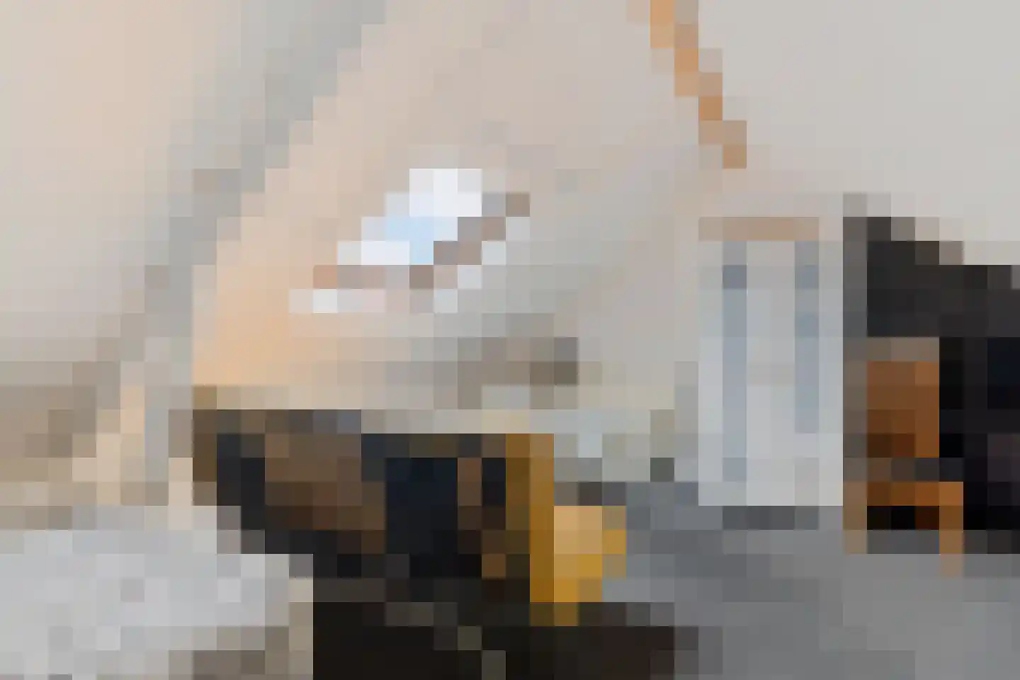 Strovlasstraat 35 Oss thumbnail 21