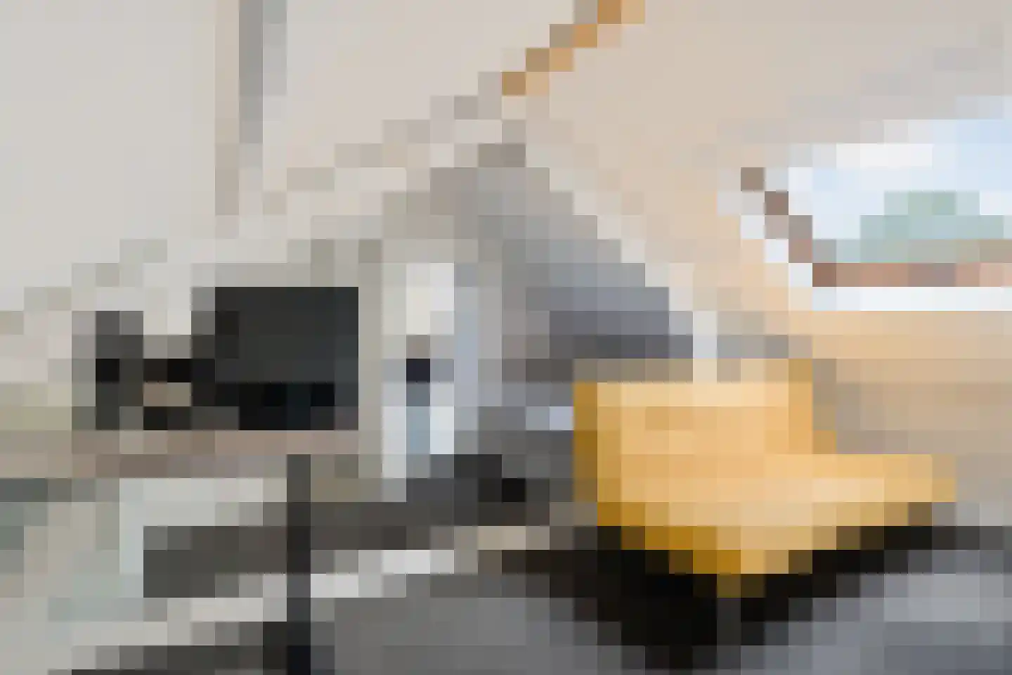 Strovlasstraat 35 Oss thumbnail 22