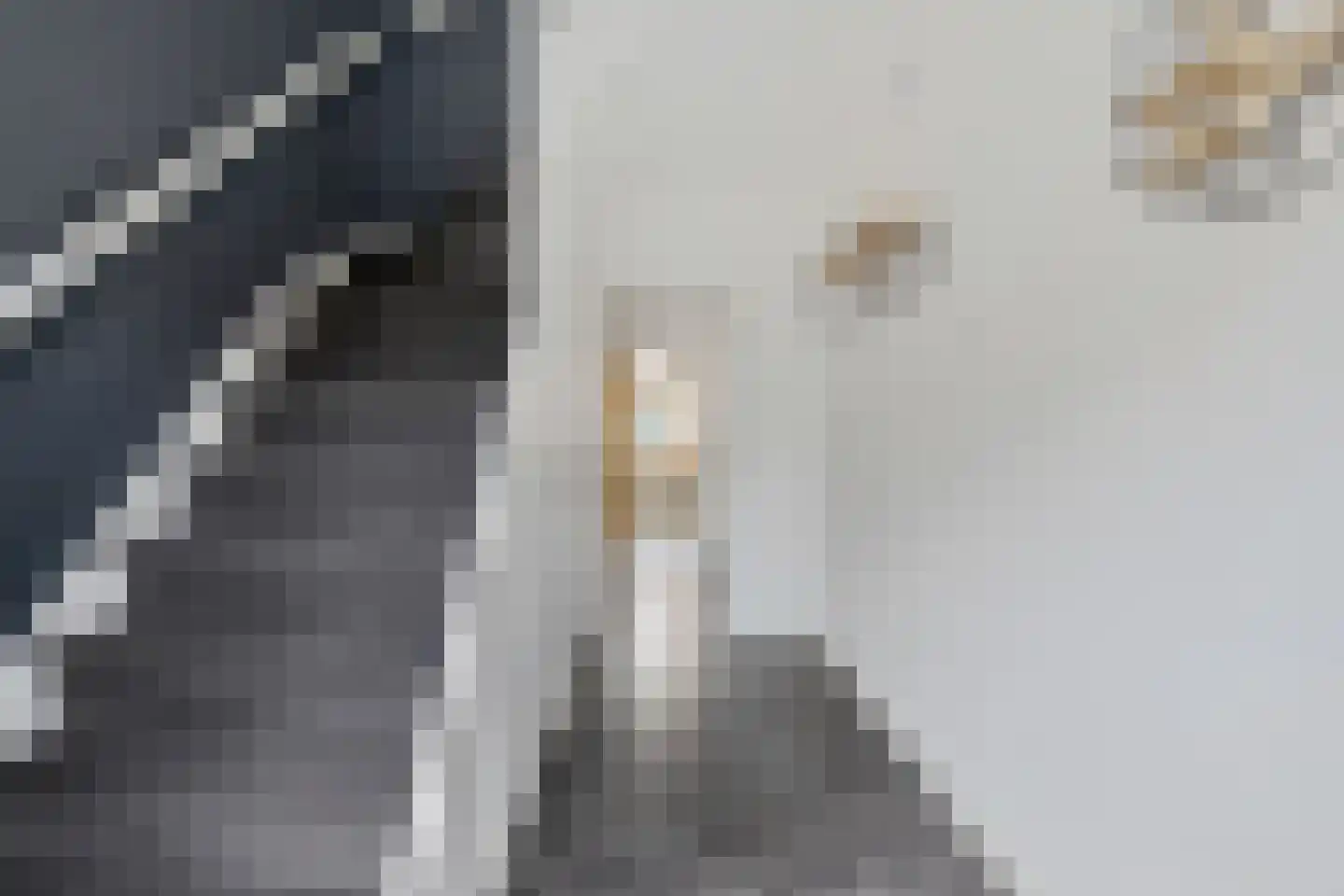 Strovlasstraat 35 Oss thumbnail 6