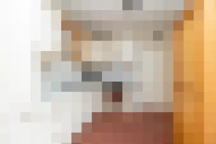 Strubben 1 Zuidwolde thumbnail 17