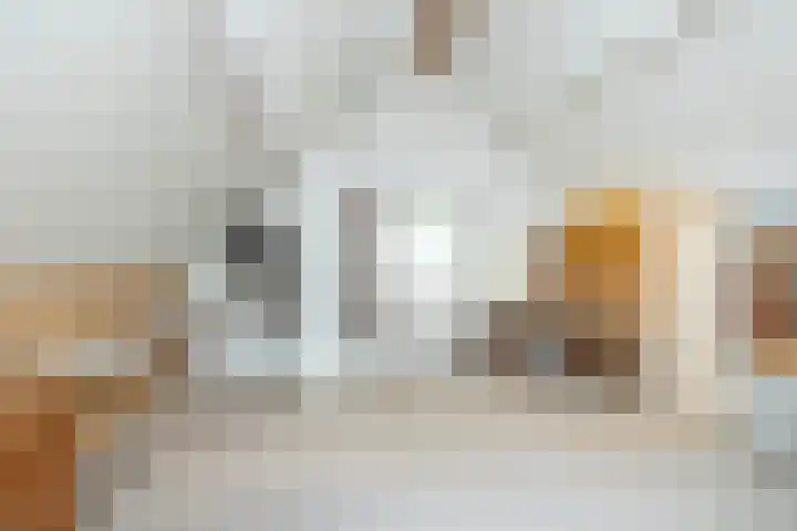 Strubben 1 Zuidwolde thumbnail 34