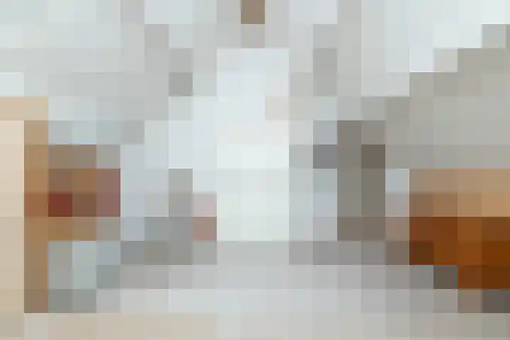 Strubben 1 Zuidwolde thumbnail 35