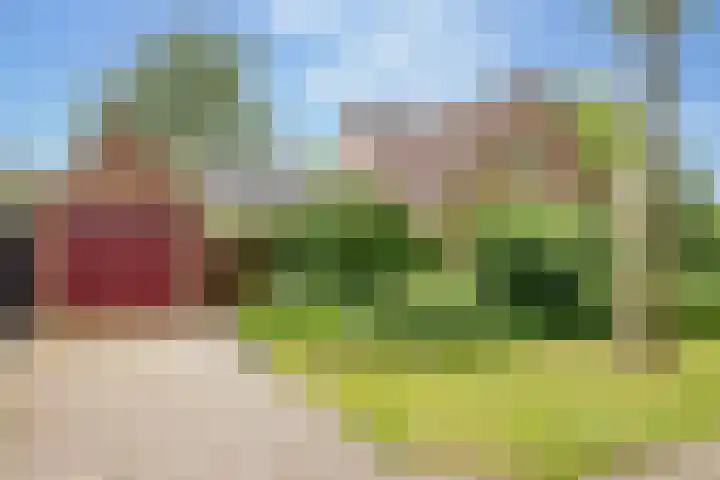 Strubben 1 Zuidwolde thumbnail 39