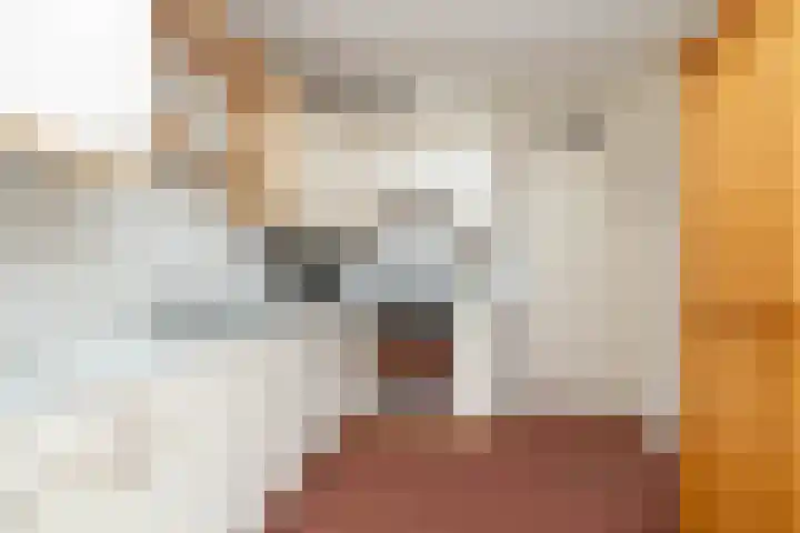 Strubben 1 Zuidwolde thumbnail 4