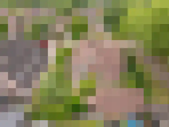 Strubben 1 Zuidwolde thumbnail 43