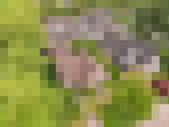 Strubben 1 Zuidwolde thumbnail 44